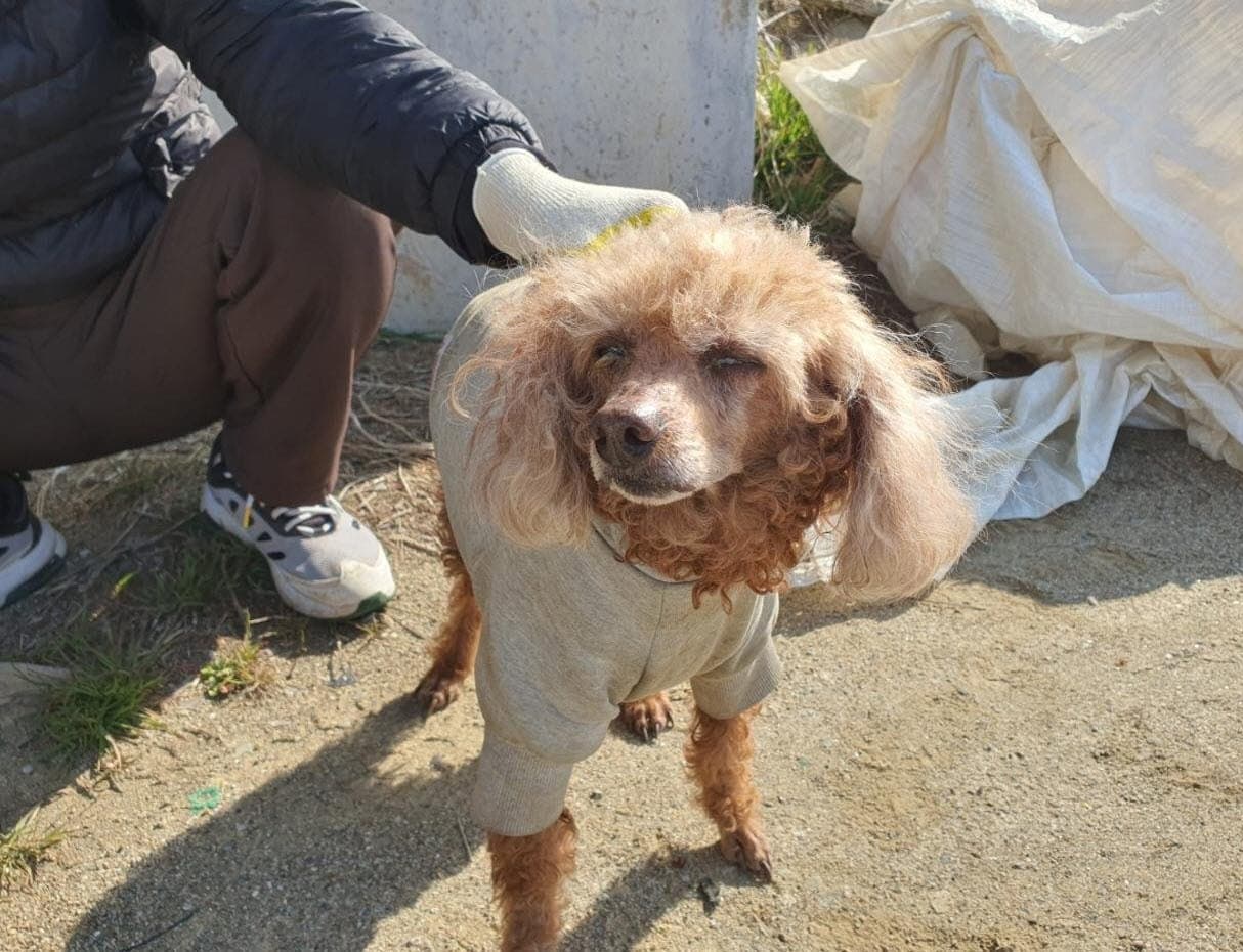 이름 미상