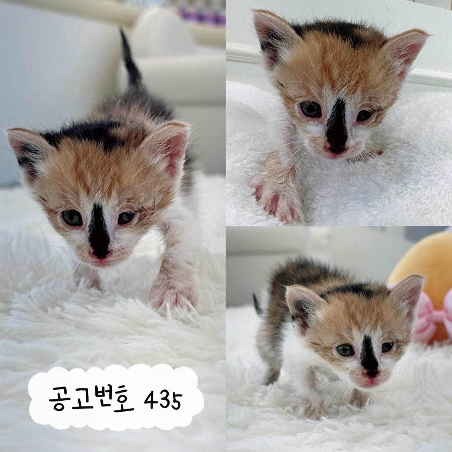 이름 미상