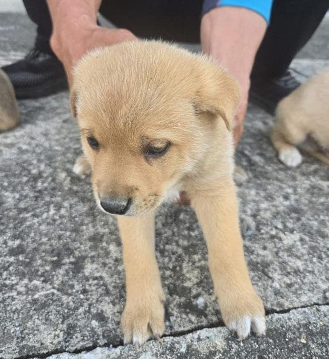 이름 미상