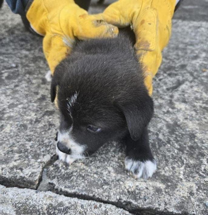 이름 미상