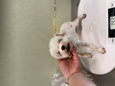 이름 미상