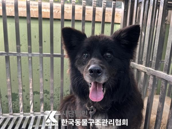이름 미상