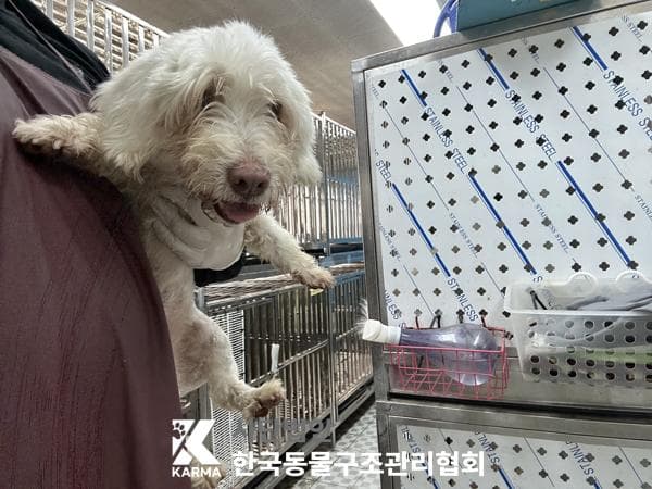 이름 미상