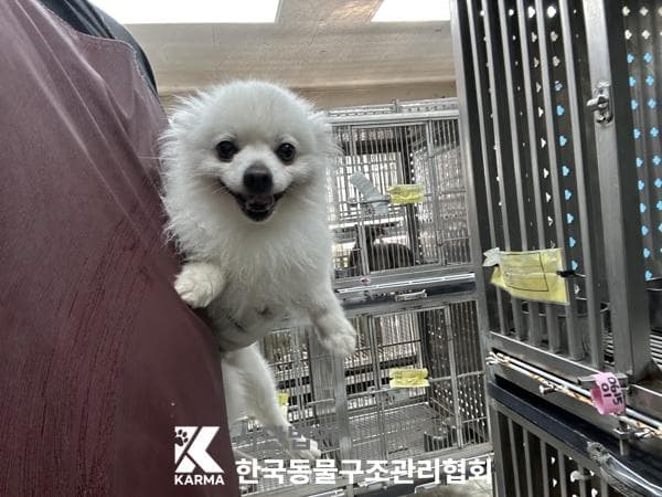 이름 미상