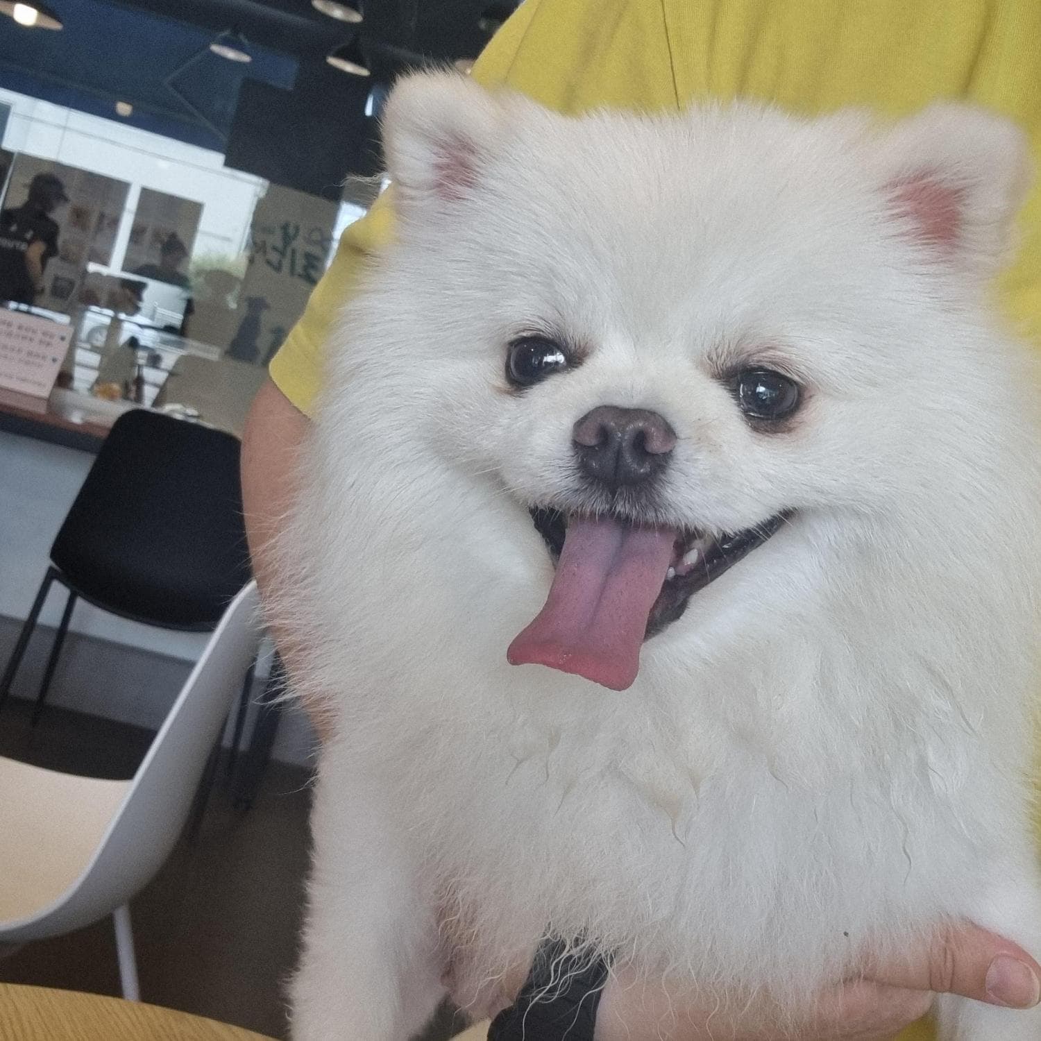 이름 미상
