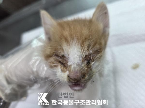이름 미상