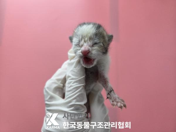이름 미상