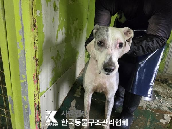 이름 미상