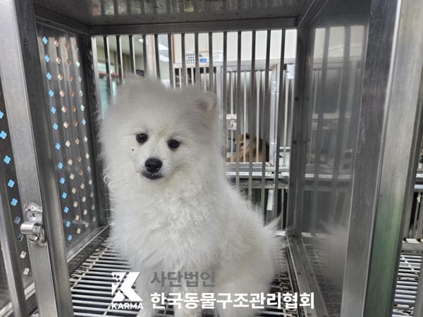 이름 미상