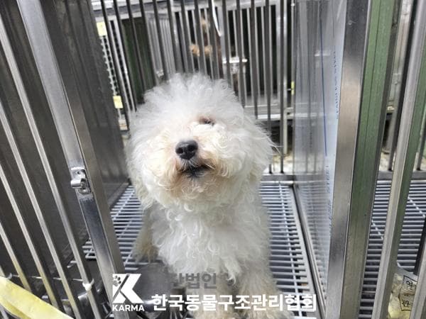 이름 미상