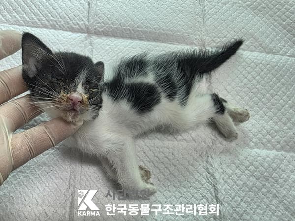 이름 미상