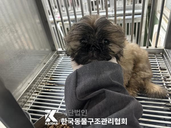 이름 미상
