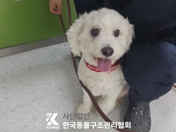 이름 미상