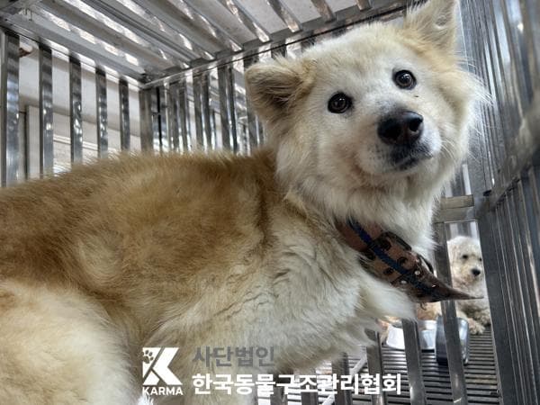 이름 미상