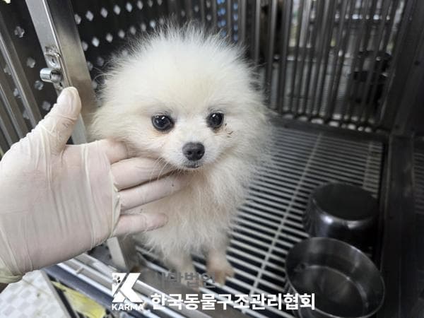 이름 미상