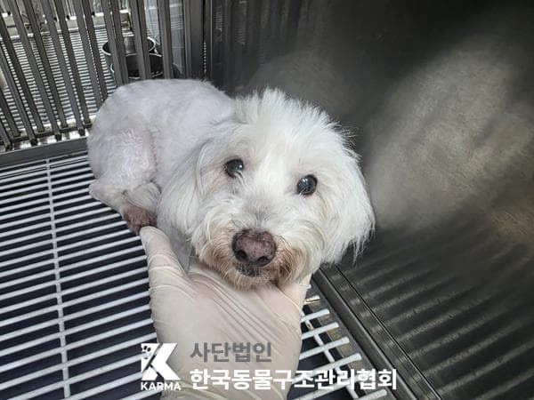 이름 미상