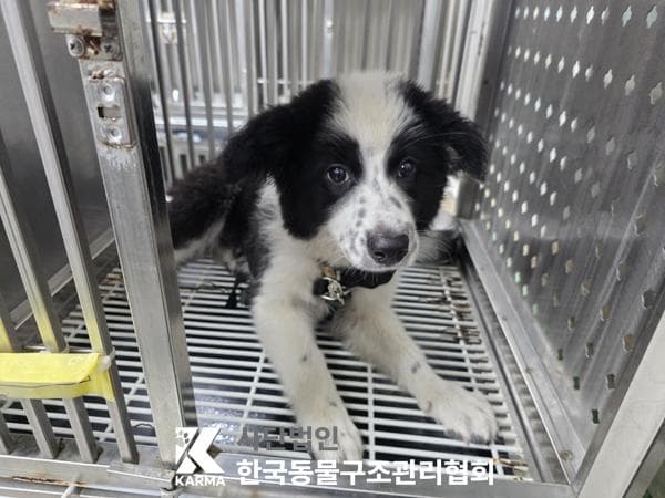 이름 미상