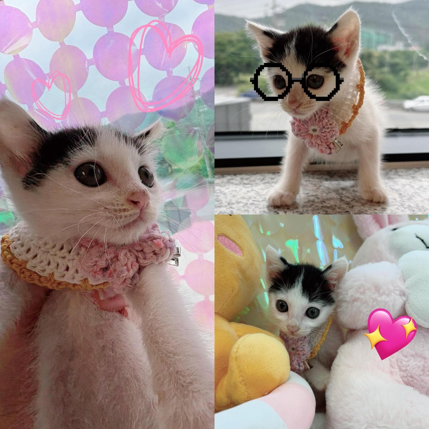 이름 미상