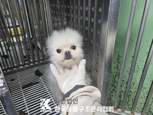 이름 미상