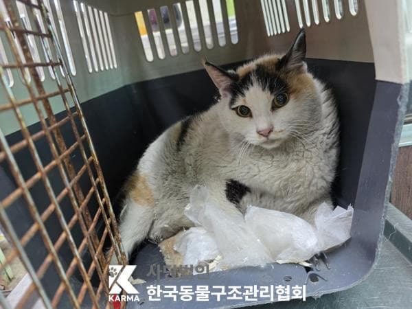 이름 미상