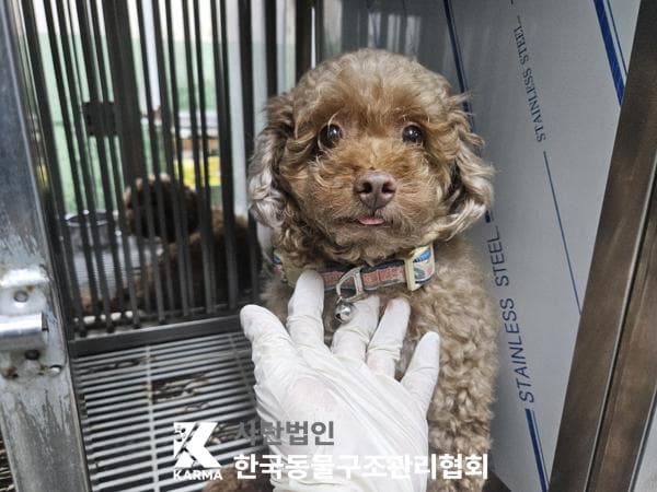 이름 미상