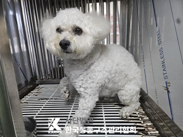 이름 미상