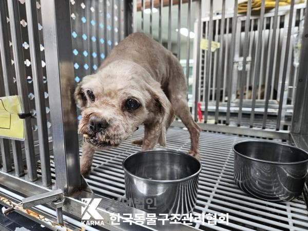 이름 미상