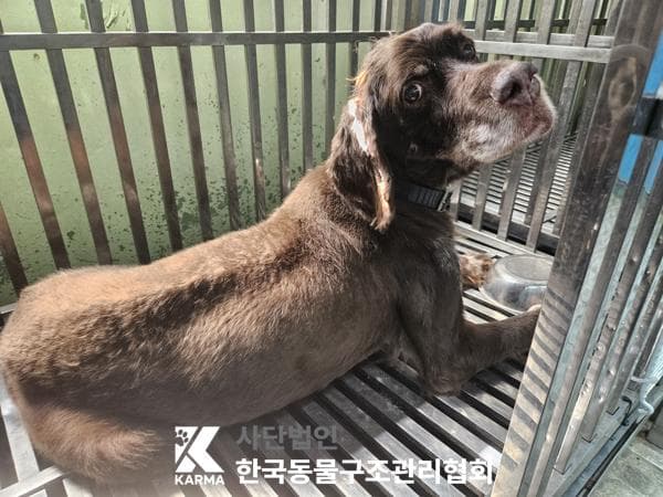 이름 미상