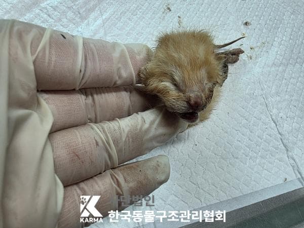 이름 미상