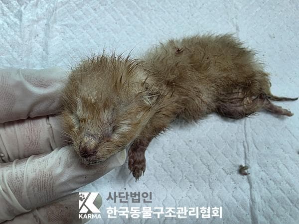 이름 미상