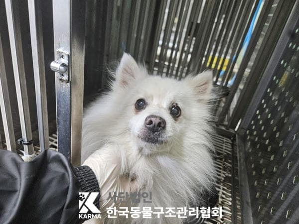 이름 미상