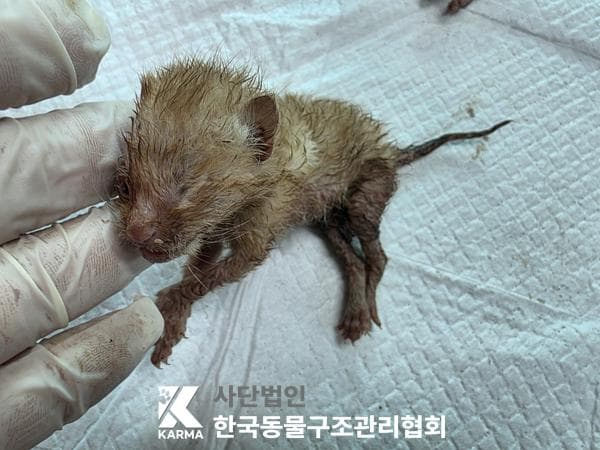 이름 미상