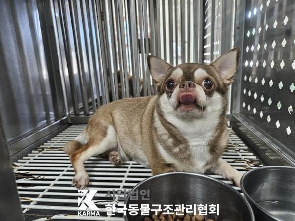 이름 미상