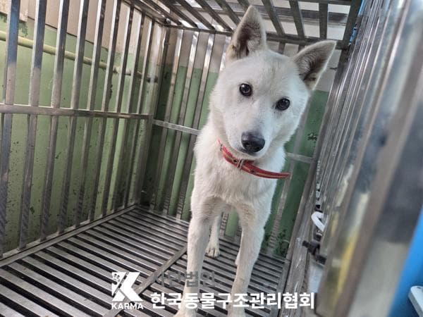 이름 미상