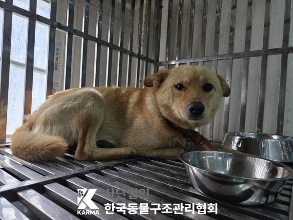 이름 미상
