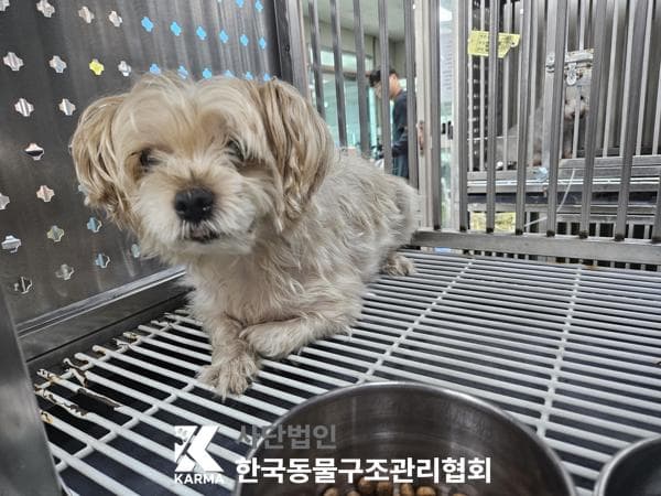 이름 미상
