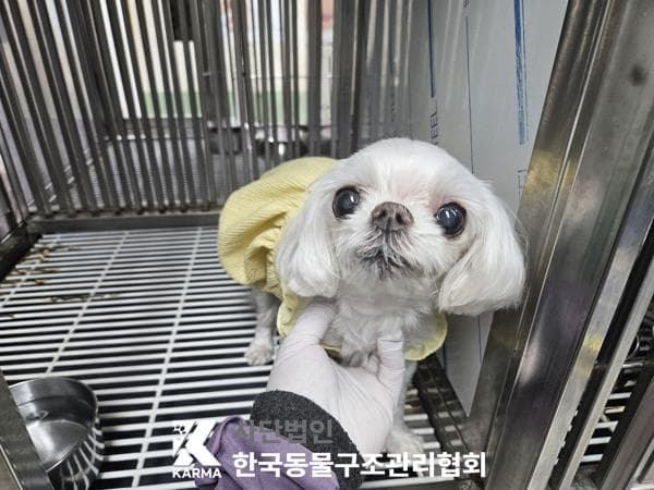 이름 미상