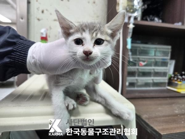 이름 미상
