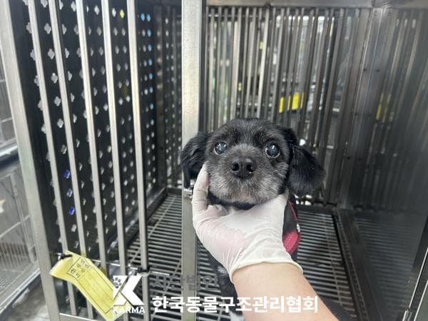이름 미상