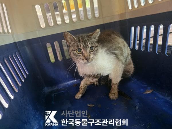 이름 미상