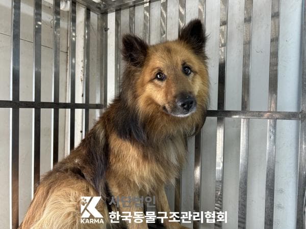 이름 미상