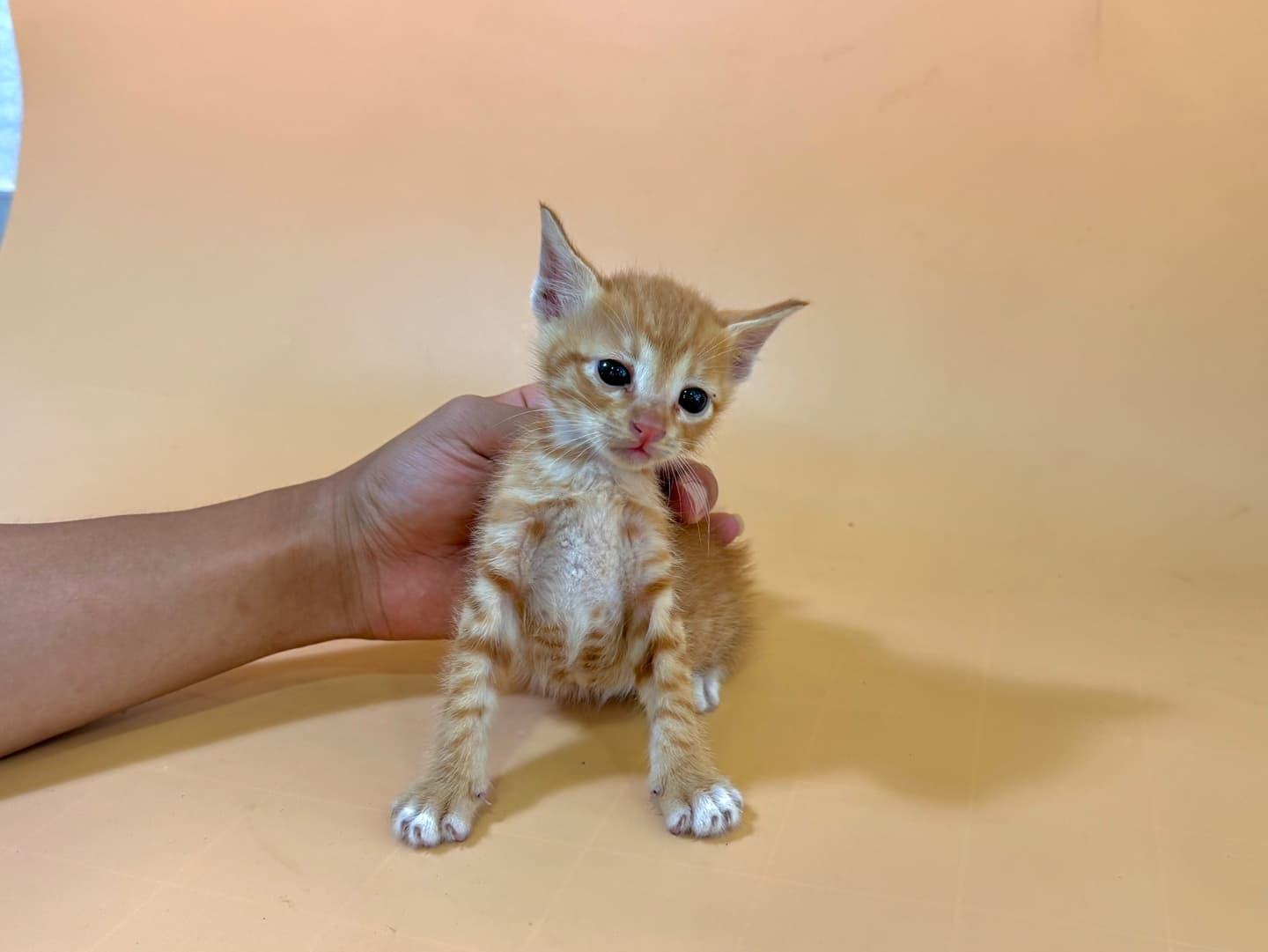 이름 미상